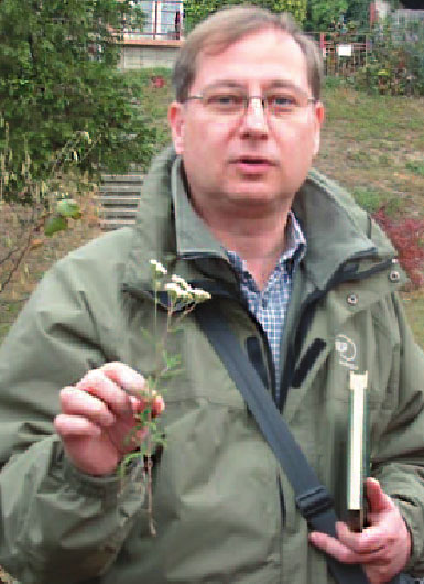 dr. Báthory Gábor